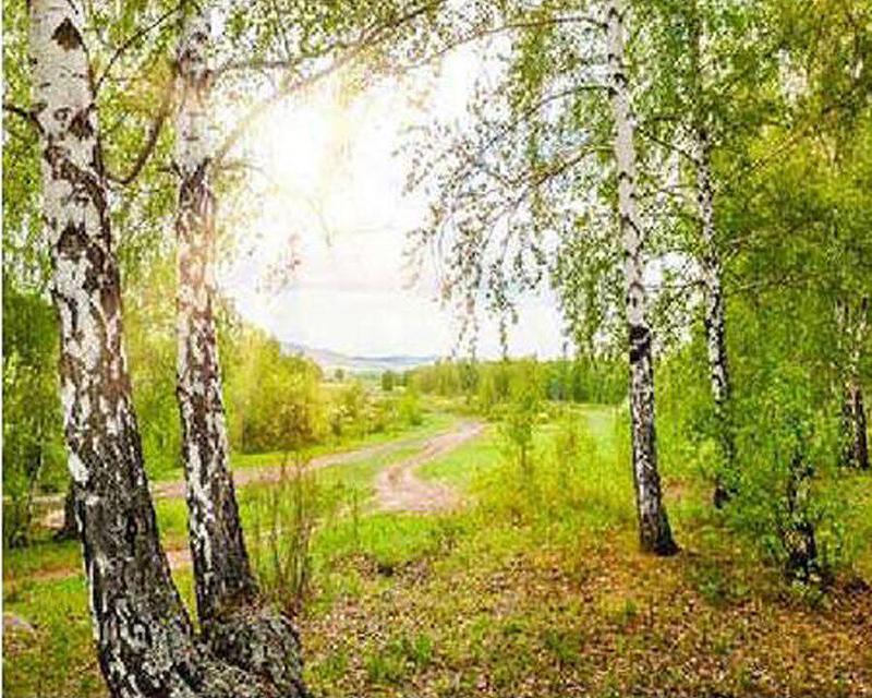 5D DIY Round / Square Diamond Painting Rhinoceros Animal Diamond Embroidery Cross Stitch Kit Cat Mosaic Picture Diamond Decoration Gift