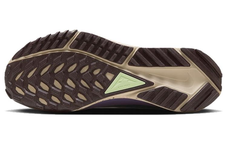 Nike React Pegasus Trail 4 GORE-TEX 'Earth Dark Stucco'