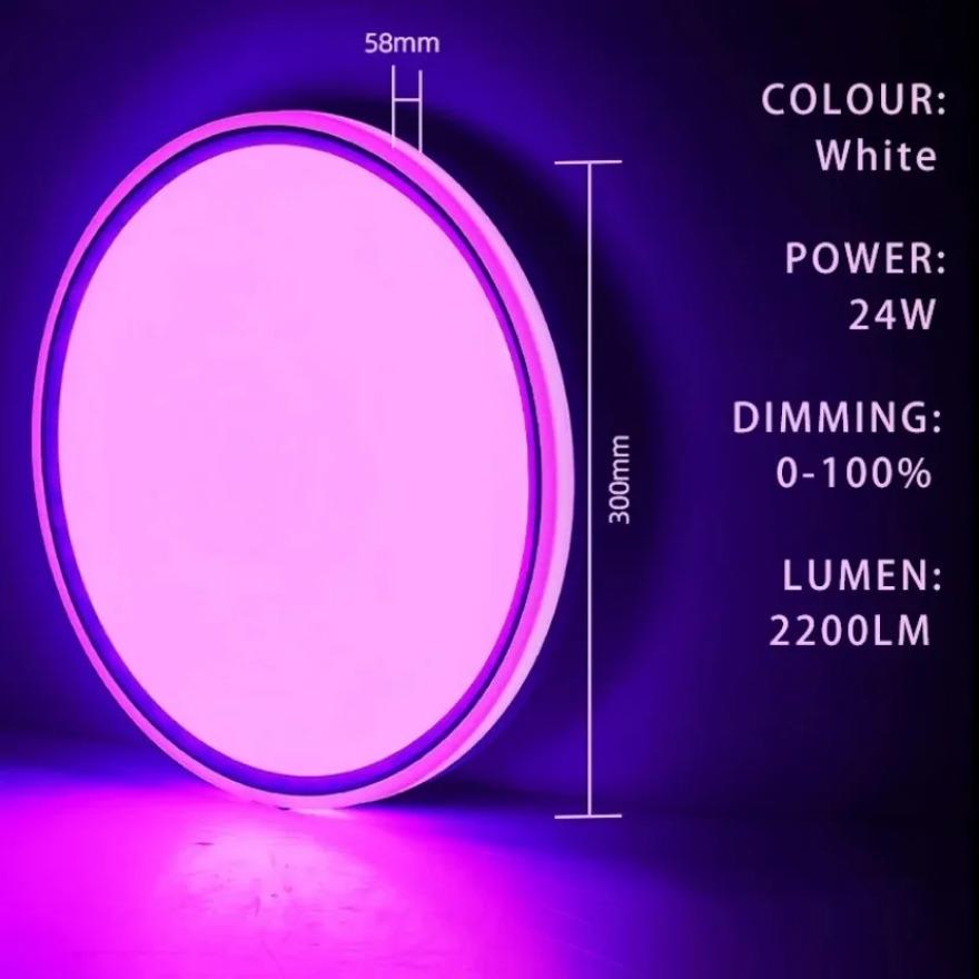 TUYA Intelligent LED Ceiling Light WiFi Bluetooth Dimmable RGB Alexa Google Voice Control Bedroom Living Room Decorative Light