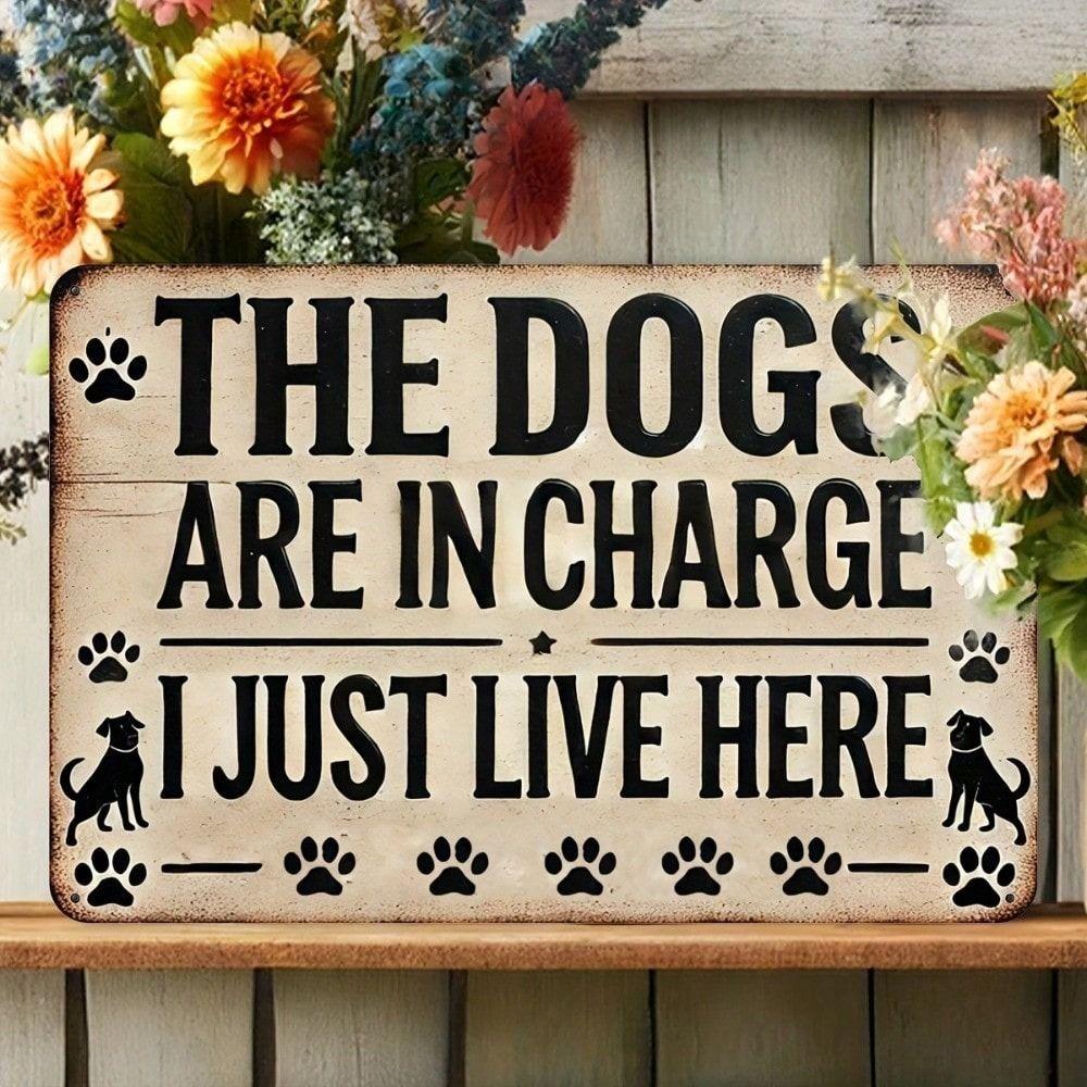 Vintage Tin Sign Funny Dog Wall Decor Metal Poster
