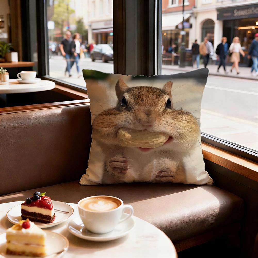 cute animal squirrel Cushion Cover Decorative Cushion Cushions Covers Cover Sofa x Pillow Piece x x Pillowcase