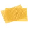 50pcs Beekeeping Hive Beekeeping Honeycomb Foundation Frame Hive Garden Hive Beekeeping Tools
