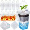 Lazyman Automatic Watering Clear Seedling Growing Box Flower Pot Observe Root Growth Easy Fill Home Office Decor Plant Container