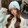 Three-dimensional puppy patch knitted hat female, soft waxy vertical pattern curled edge cold hat, autumn and winter warm wool hat