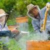 Imker Dedizierte Edelstahl-Imkerwerkzeuge Bienenräuchergerät Sprüher Bienen vertreiben Apikultur Bienenhaltungsausrüstung