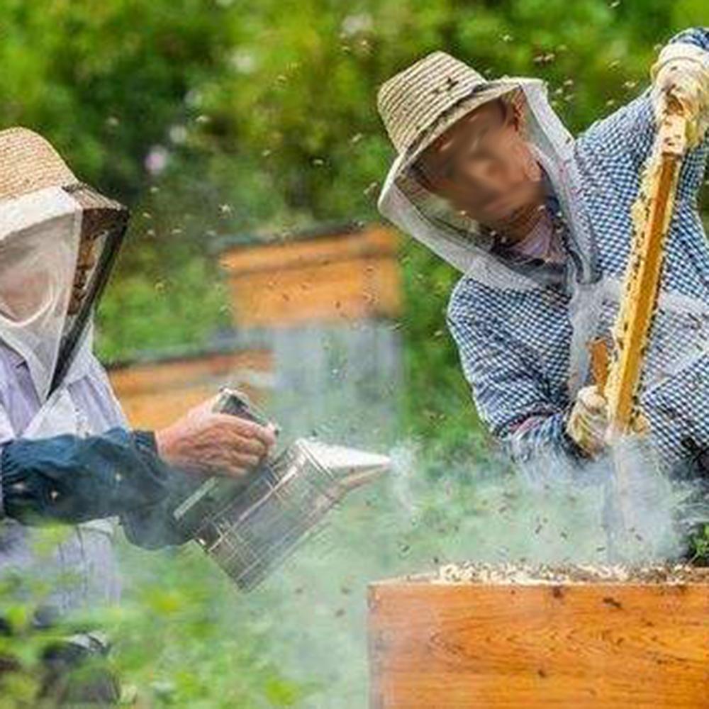 Imker Dedizierte Edelstahl-Imkerwerkzeuge Bienenräuchergerät Sprüher Bienen vertreiben Apikultur Bienenhaltungsausrüstung