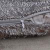 Square Car Seat Waist Cushion Cover Winter Warm Throw Pillow Cases Fur Plush