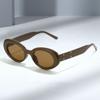 Trendy Fashionable Oval Small Frame Sunglasses For Women & Men  Chic Eyewear  Stylish Shades Cool Sunglass For Every Occasion
