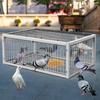 Heavy-Duty Automatic Cage Trap for Pigeons, Two-Door Entry, Anti-Escape Design – Ideal for Gardens, Outdoor Hunting.