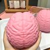 1/2 Stück Riesiges Simulations-Gehirn Knetspielzeug Stressabbau Rosa Gehirn Sensorisches Spielzeug Dekompression Langsam aufsteigend Realistisches Gehirn Fidget-Spielzeug
