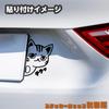 [Tamiya] Tiger Pattern Hyokkori Cat Cutting Sticker Weatherproof Waterproof Made