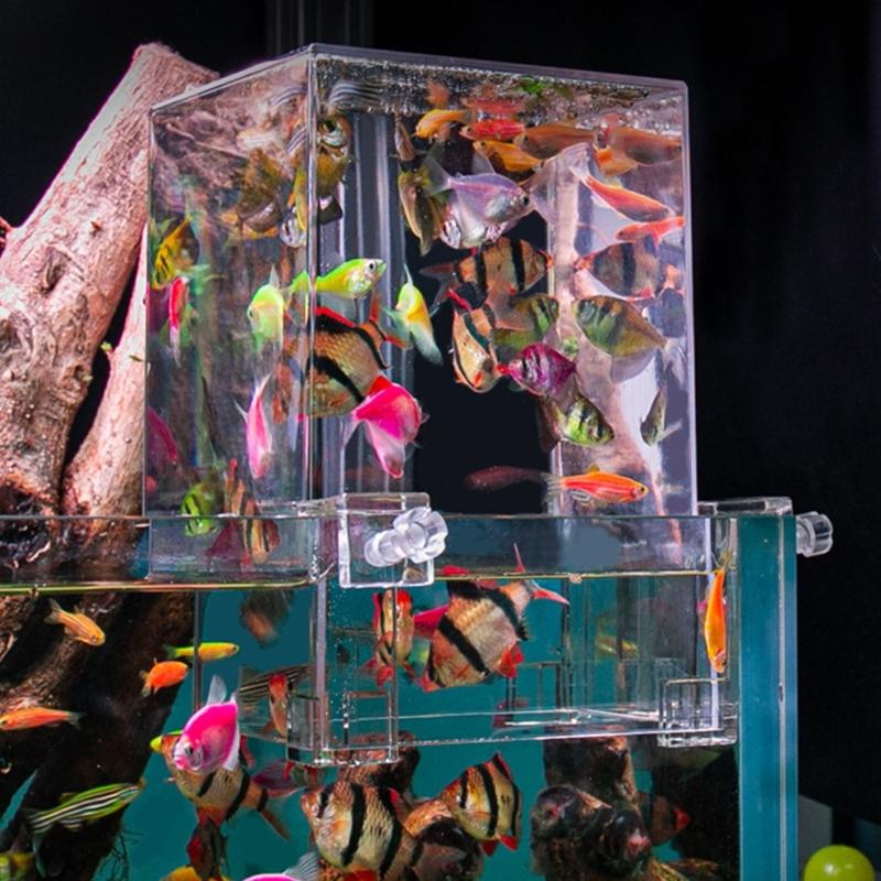 Aquarium Fish Breeder Box Plastic Fish Isolation Breeding Box Hatching Breeding Box Fish Hatchery Box