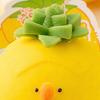 Slow Rising Animal Squeeze Toy Soft Stress Relief Fidget Toy Cute Duck Chicken