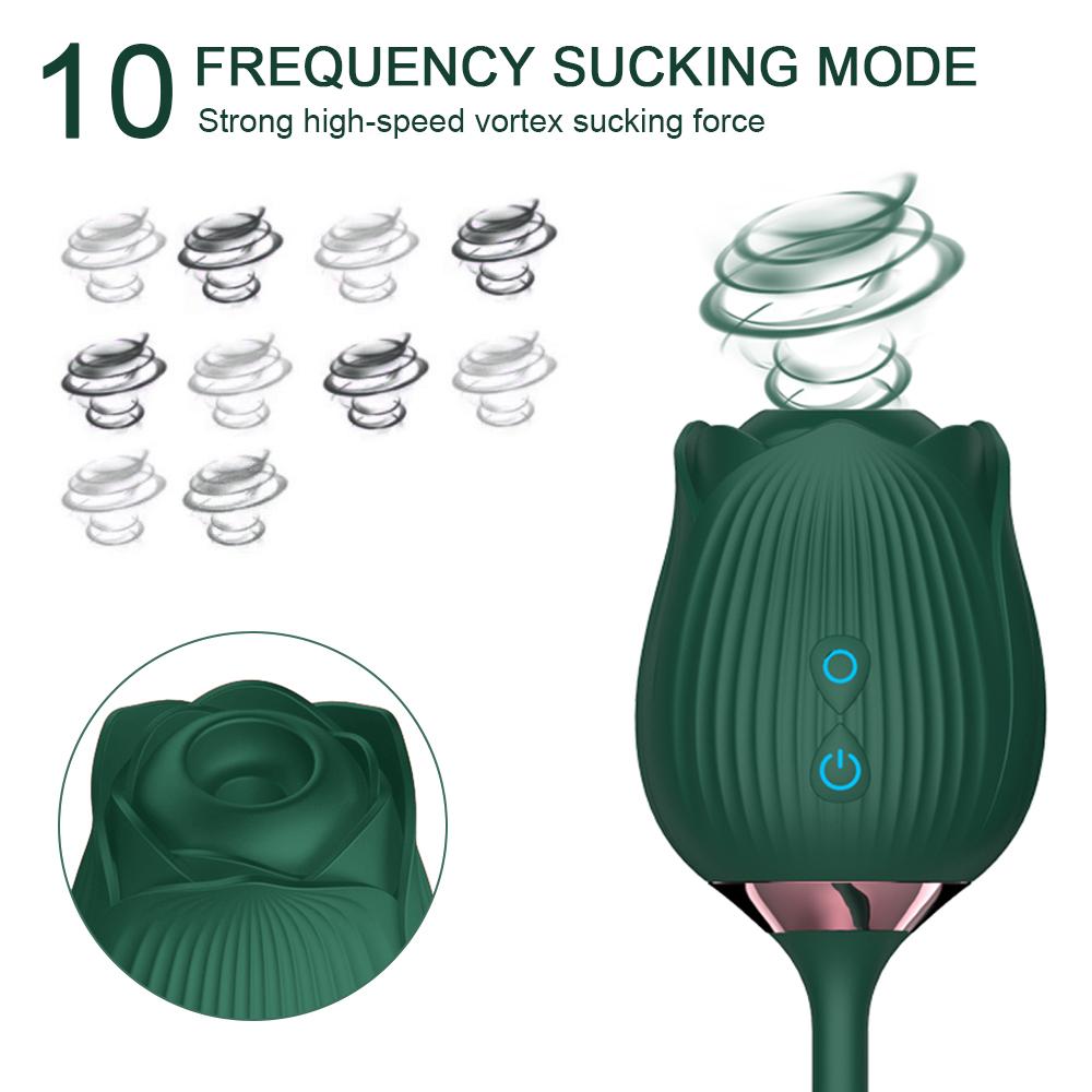 Sex Toy 2 In 1 Sucking Vibrator Nipple Penetration Vagina Rose-Vibrator G-spot Stimulator Masturbation Tools Women Audle Product Dildo Vibrating Egg