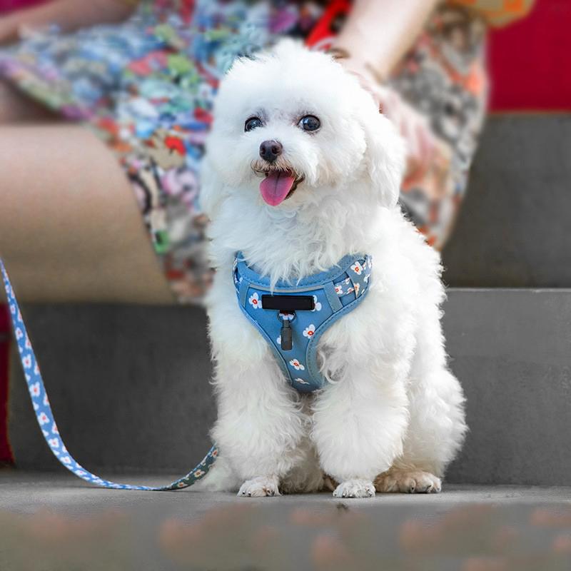 

Регулируемый выдвижной поводок для собак и шлейка для собак 2 в 1