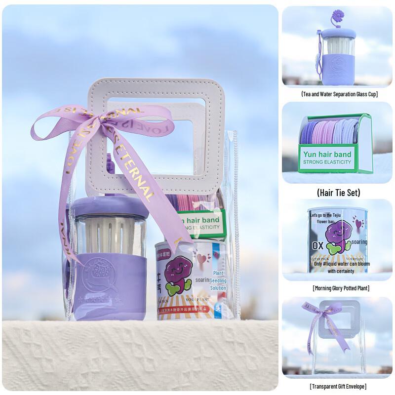 Purple Tea Infuser Glass Gift Set Set 20