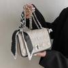Classic High-end Printed Bag Women's New Fashion Chain Niche Popular Trendy Versatile Messenger Bag Shoulder Bag