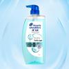 Head & Shoulders Anti-Dandruff Oil Control Volumizing Shampoo