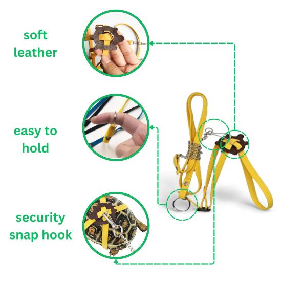 Verstellbare Schildkrötenleine und Skateboard-Set Outdoor-Trainingsgeschirr und Mini-Finger-Skateboard für kleines Haustier Bartagame Eidechse Schildkröte