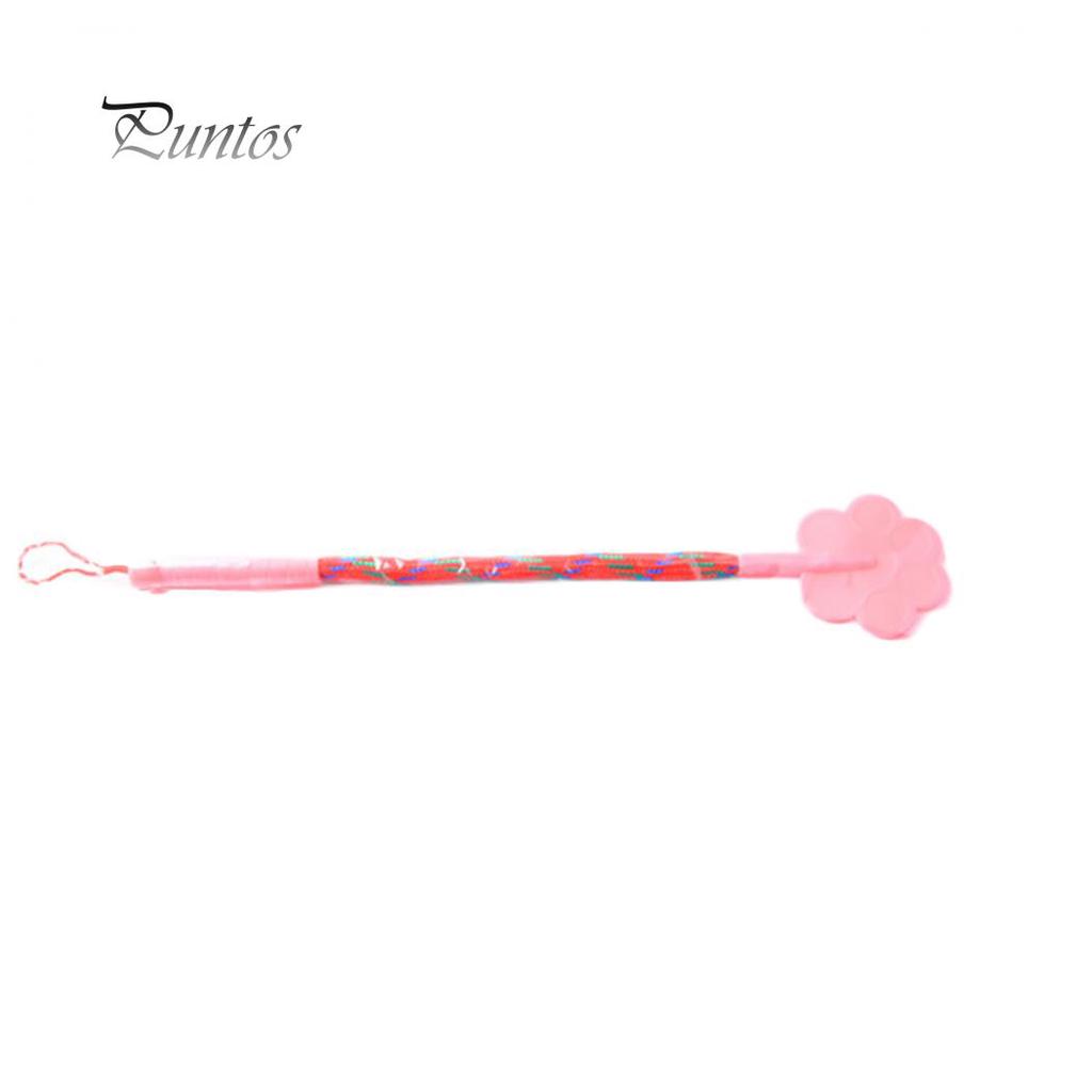 Puppy Pet Trainer Stick Obedience 43cm Training Teaching