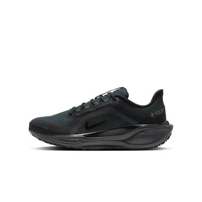 Air Zoom Pegasus 41 Must Antratsiit