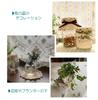Milkcat Natural Color Set of 4 Hand-Knitted Cotton Lace Coasters, Round, Retro Afternoon Tea Display