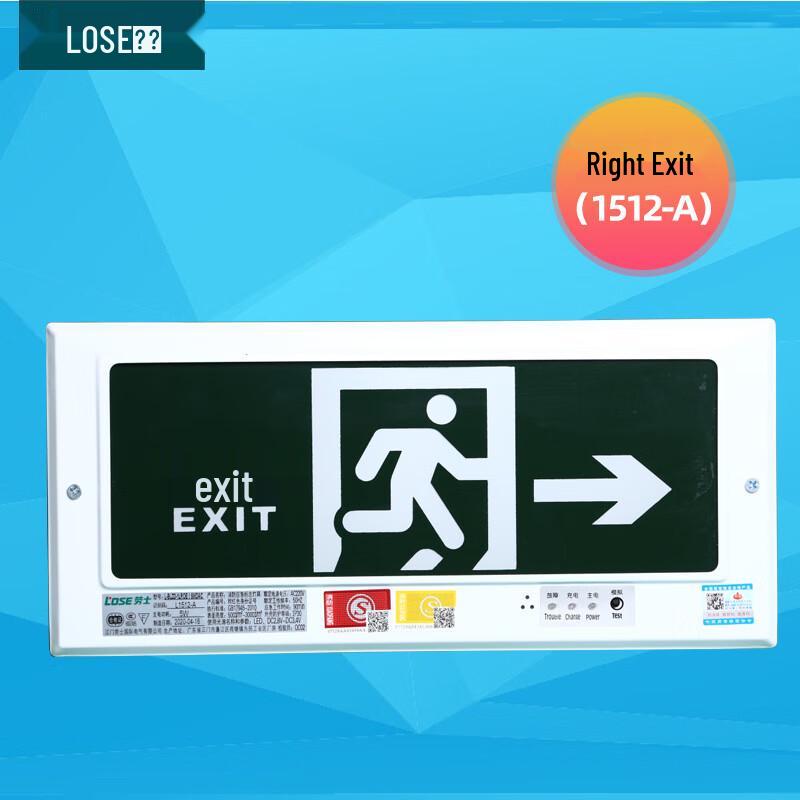 Luoshi Embedded LED Emergency Exit Sign