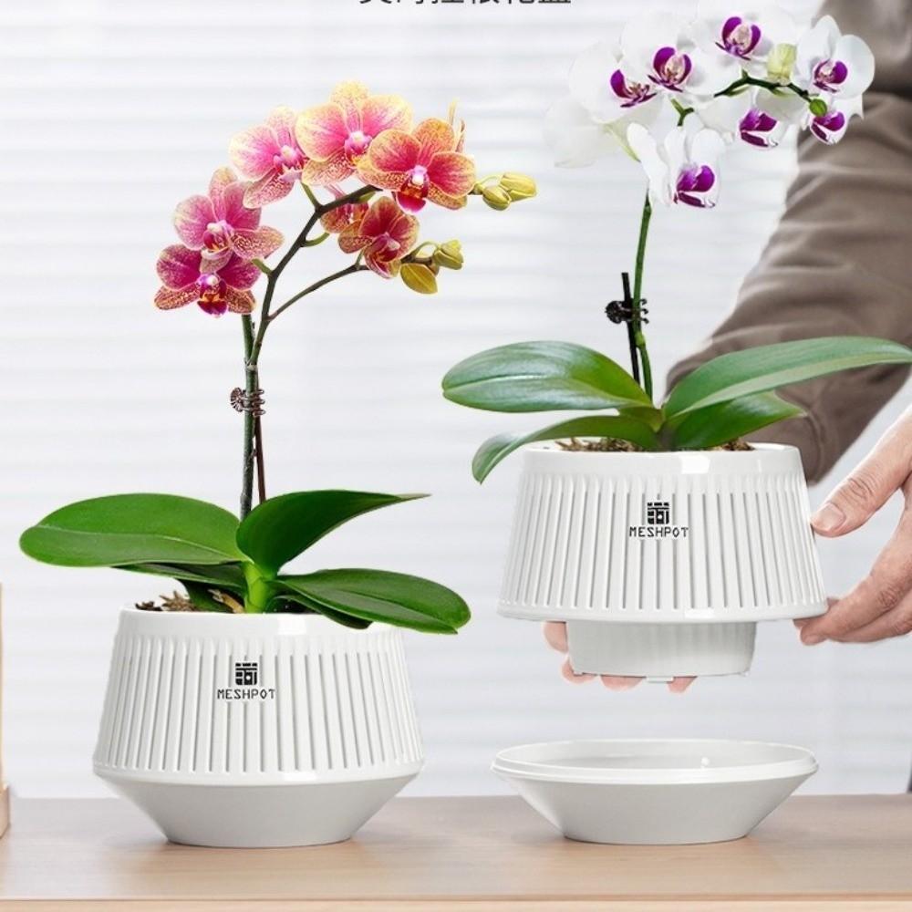 Moisturizing Meshpot Orchid Pot Thickening Root Control Flowerpot Growing Pots Bonsai Planting