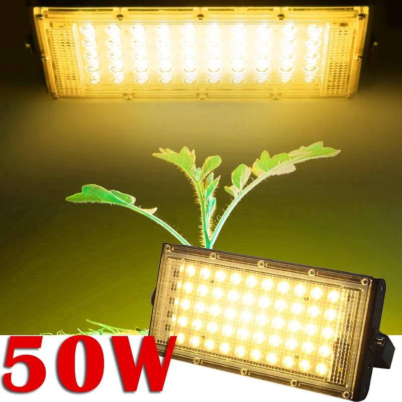 Buy LED Grow Light Phyto Lamp AC 50W Full Spectrum Floodlight Indoor