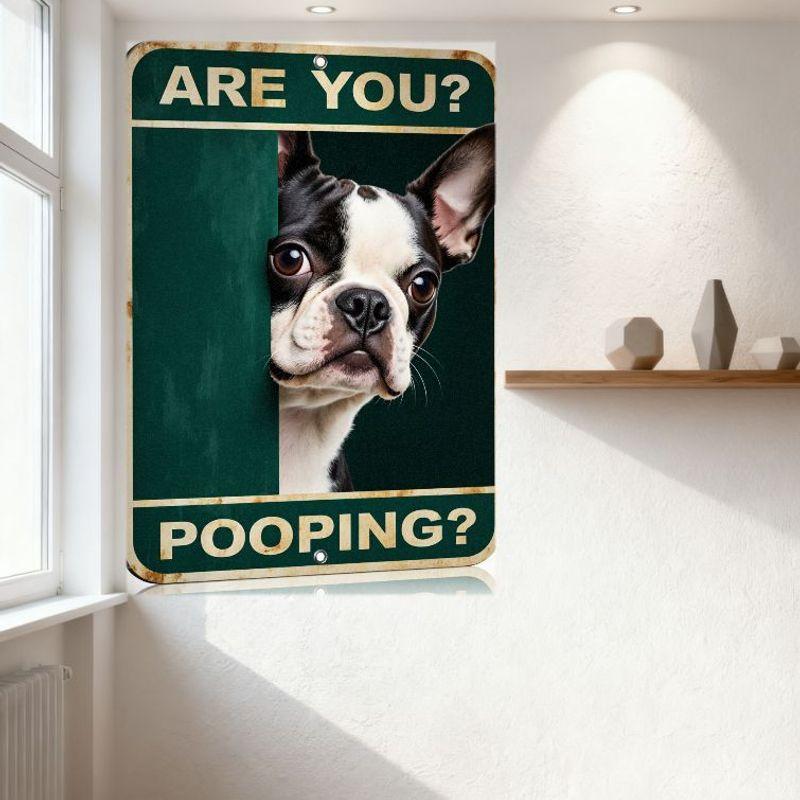 Vintage Bostonterrier 'ÄR DU?' BAJSA?' Metallplåtskylt Humoristisk Väggplakett med Hål för Upphängning för Hembaren Kafé Man Cave Dec