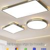 Modern Minimalist LED Ceiling Light for Living Room, Bedroom, Dining Room, and Hallway