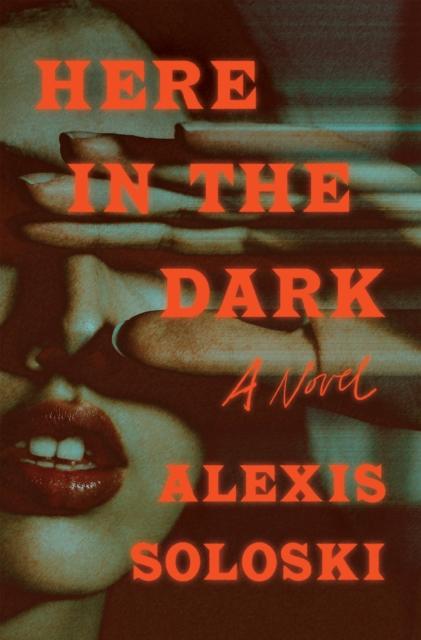 The Here In the Dark : A Novel Book