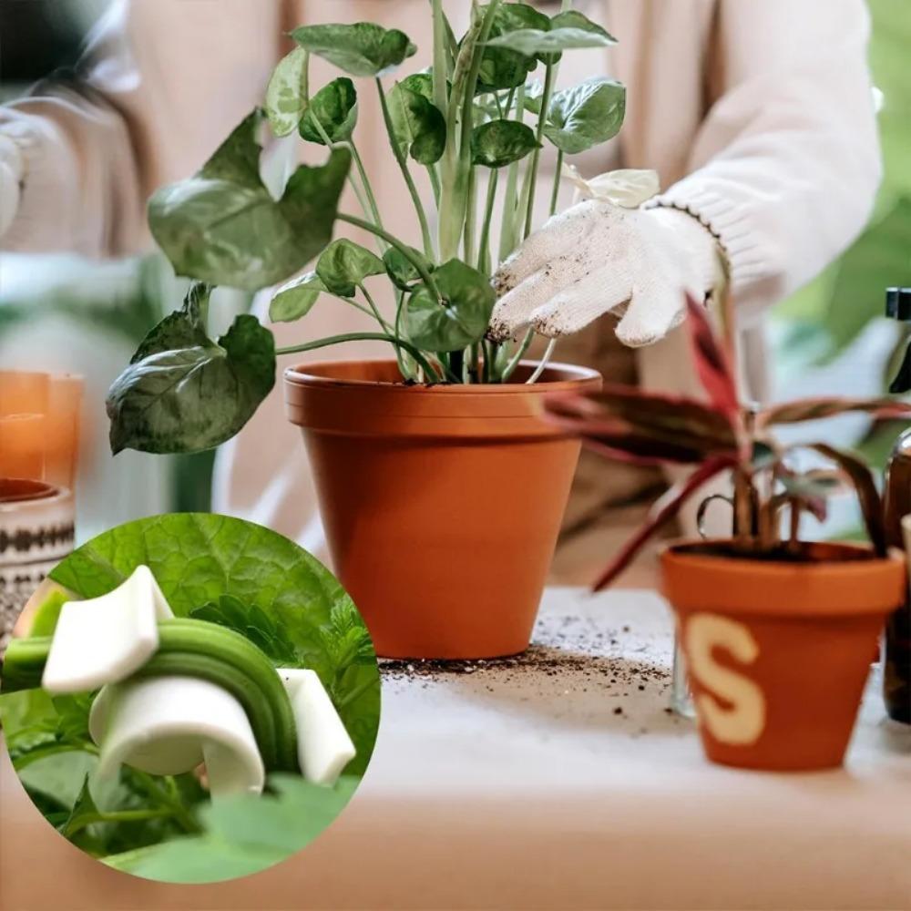 10-50 stücke 90 Grad Anlage Bieger Trainer Wachstum Manipulation Tutoren Für Pflanzen Clips Biegen Zweig Klemmen Branche Zubehör