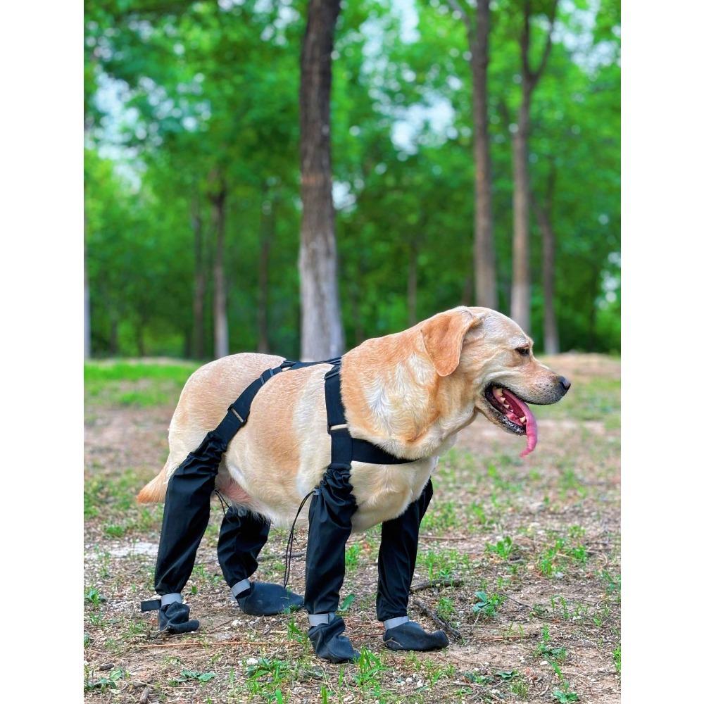 Gå ut hundskor smutsavvisande hundskor anti-hundskor elastiskt band reflexband husdjursskor vattentäta