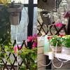 Automatic Watering Pump Controller 8/4/2 Head Outdoor Drip Irrigation Device Pump Timer System Flower Plant Home Sprinkler