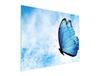 SZKLANA DESKA DO KROJENIA 52x40 MOTYL