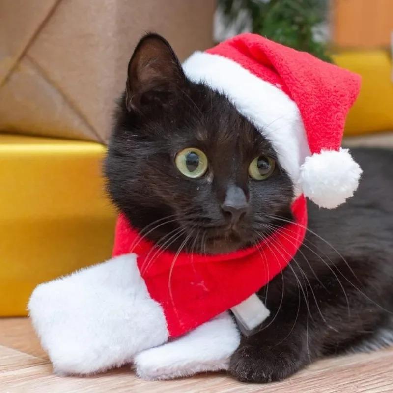 1-20Suits Christmas Pet Costume Outfit Santa Hat Scarf for Cats Small Dogs Holiday Party Pets Party Costume Accessories Supplies