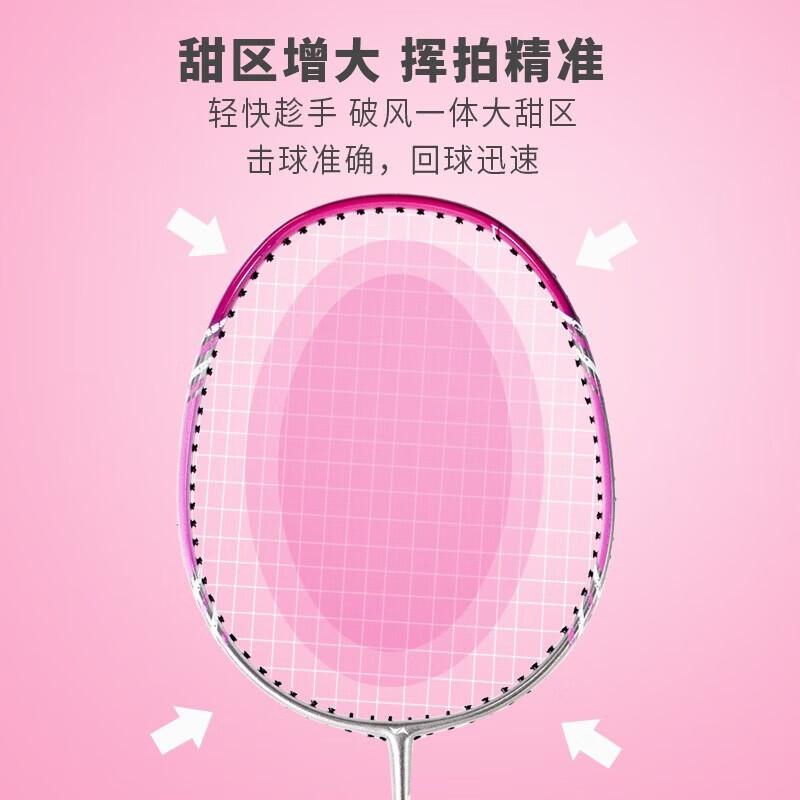 Hodtown Adult Badminton Racket Set