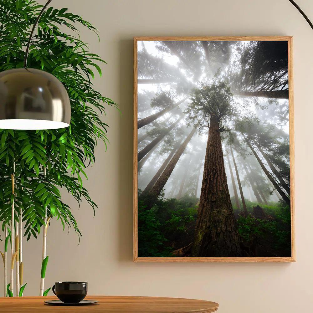 1pc Dark Green Forest Foggy Mountain Landscape Nature Scenery HD Posters Home Room Bar Cafe Decor Art Wall Painting Picture