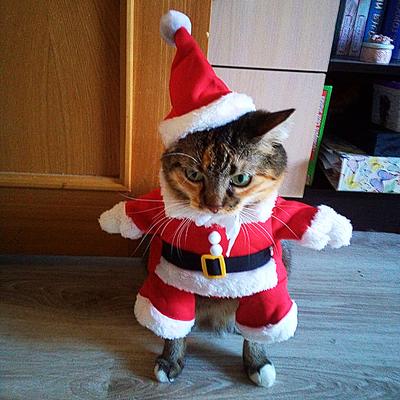 Christmas Cat Clothes For Small Dogs Cats Autumn Winter Warm Kitten Costumes Santa Claus Pet Outfits New Year Gift Cat Jacket