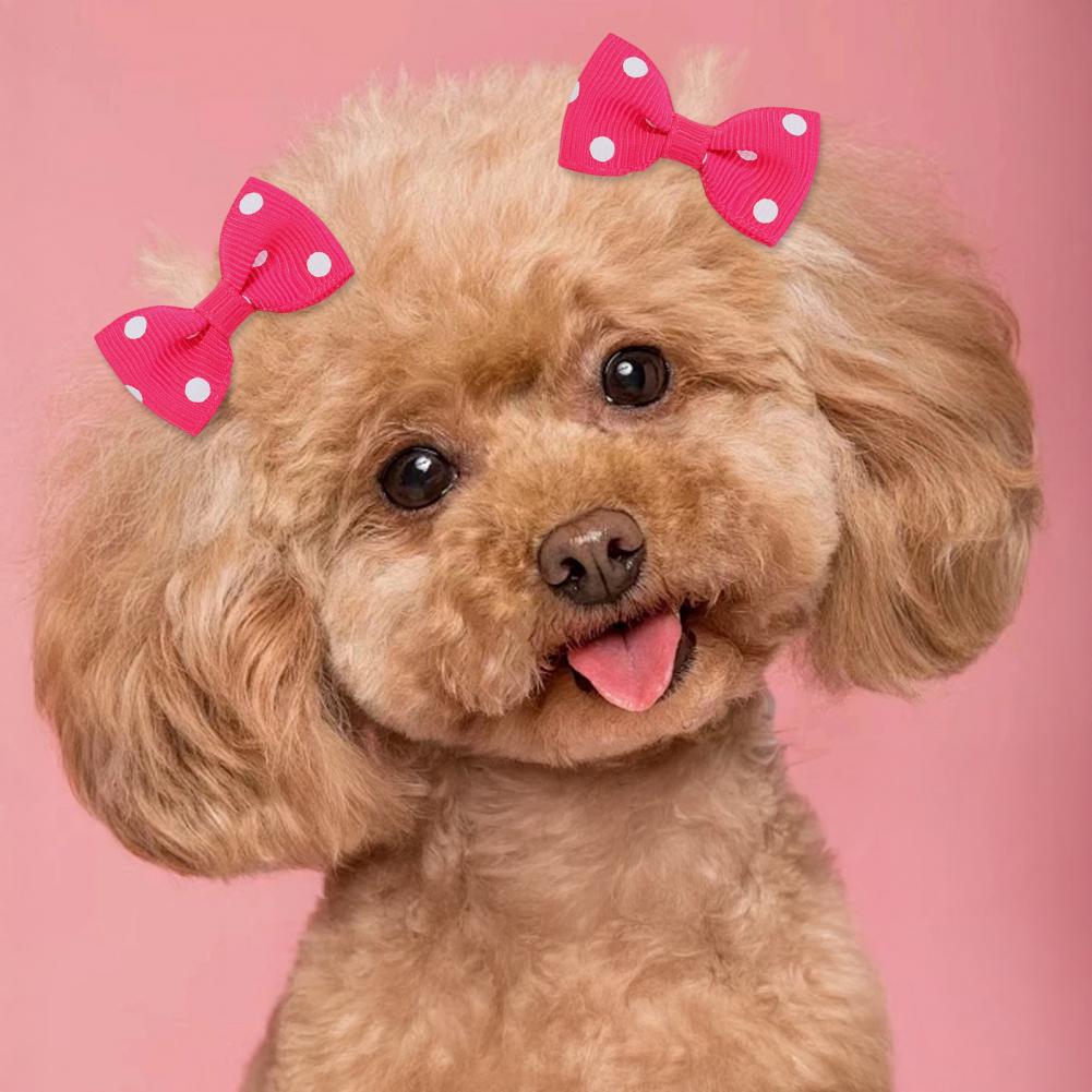 Puppy Hair Bow Puppy Hair Accessory Set Handmade Dog Hair Bowknot Set with Rubber Bands for Small Pets Party Christmas Birthday
