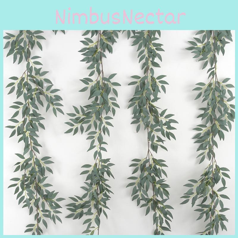 Leaf Foliage Eucalyptus For Wedding Backgrounds Outdoor Photography Decoration