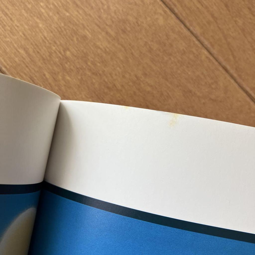 [USED] Seiji Fujishiro World of Shadow Pictures Exhibition 1999