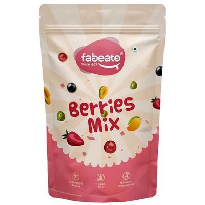 Fabeato 9-In-1 Premium Berries Mix 200g| Rich In Antioxidants|Good Source of Dietary Fiber|Dried Cranberries, Blackcurrants, Strawberry,Gojiberries