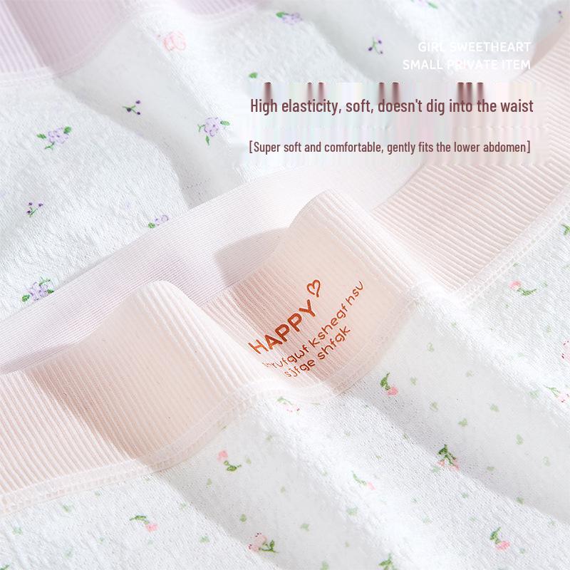 Women's Plus Size Ice Silk Underwear, Class A, 200-300 Jin, Extra Large, Summer Thin Triangle Briefs