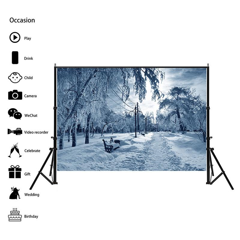 Winter Theme Snow Scene Background Nature Landscape Sky Snowflake Christmas Portrait Prop Party Decoration Banner