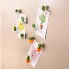 6pcs/Set 3D Cute Succulent Plant Message Board and Reminder for Kitchen Refrigerator Magnet Button Cactus Decoration Accessories
