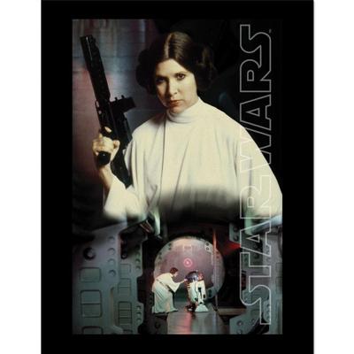 Leia Key Art Framed Poster