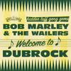 Bob Marley   The Wailers Welcome To Dublock