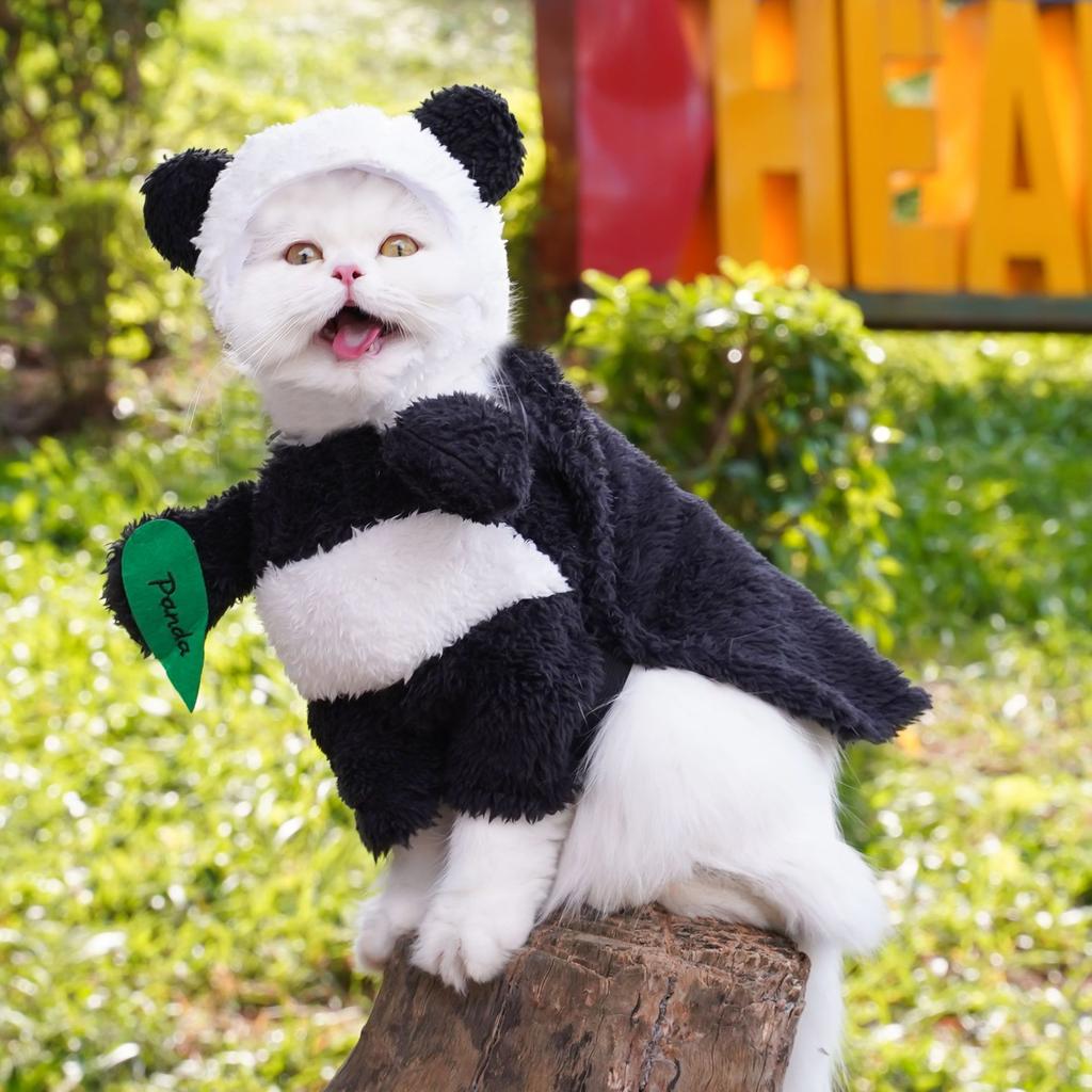 Pet Clothing Panda Standing Transformation Weird Funny Teddy Bigbear Dog Cat Clothing